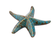 Hvězdice mořská Blue Sand, dekorace keramika 12cm