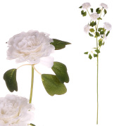 Zákula japonská, květina s květy, růžová/bílá 70cm