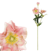 Čemeřice, jedna umělá květina, krémovo/ růžová barva, 60 cm