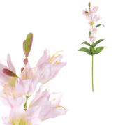 Zvonek umělá květina,bílá/fialková barva, 15 x 71 cm