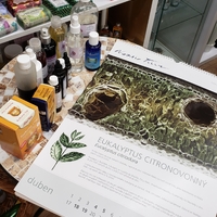 Aroma workshop: Podzimní voňavá lékárnička