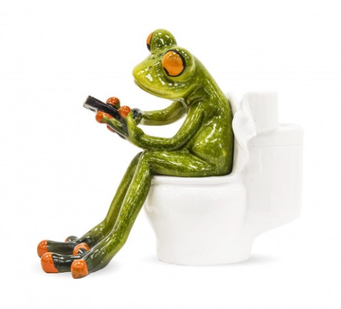 Žába na záchodě s mobilem, 11x13cm