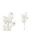 Třešňové květy, bílá/bílo-růžová, 100cm